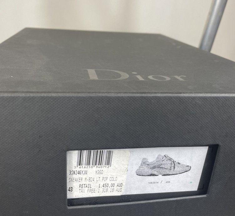 Dior B24 Sneakers