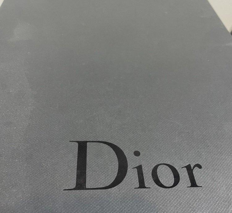 Dior B24 Sneakers