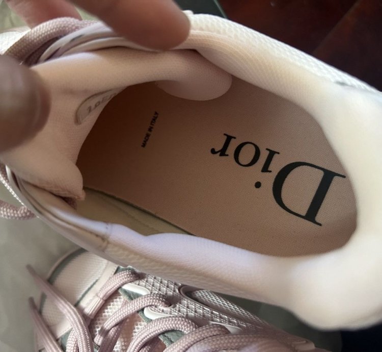 Dior B24 Trainer Pink