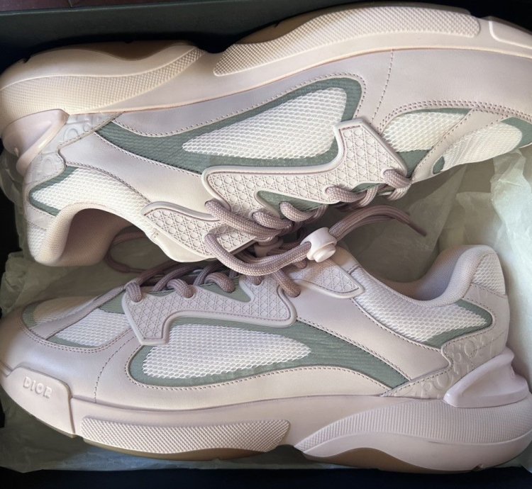 Dior B24 Trainer Pink