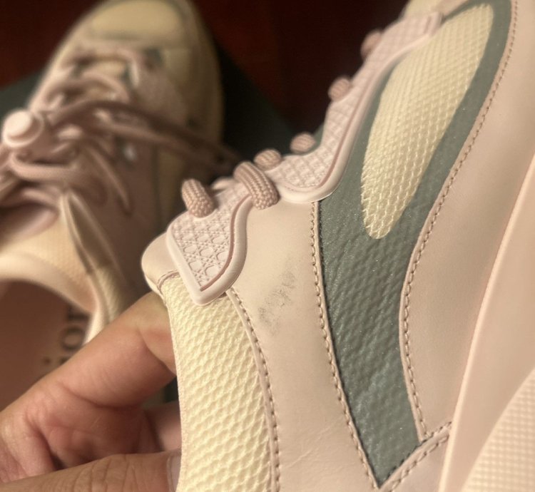 Dior B24 Trainer Pink