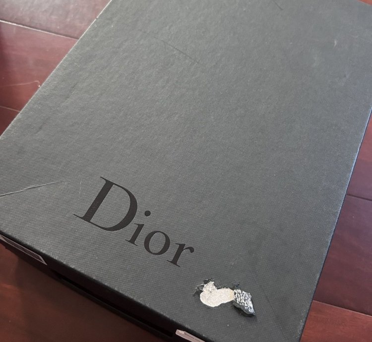 Dior B24 Trainer Pink