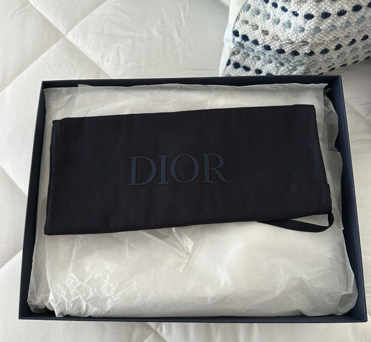 Dior B27 High Dior Oblique Galaxy