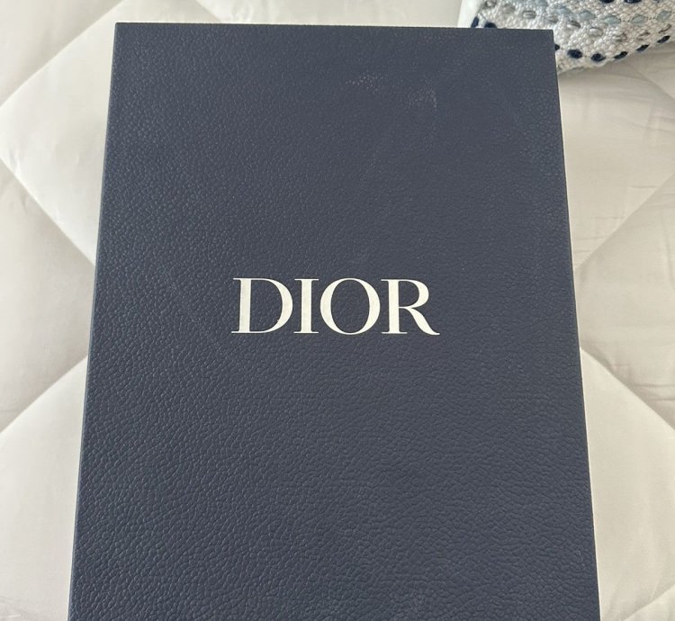 Dior B27 High Dior Oblique Galaxy