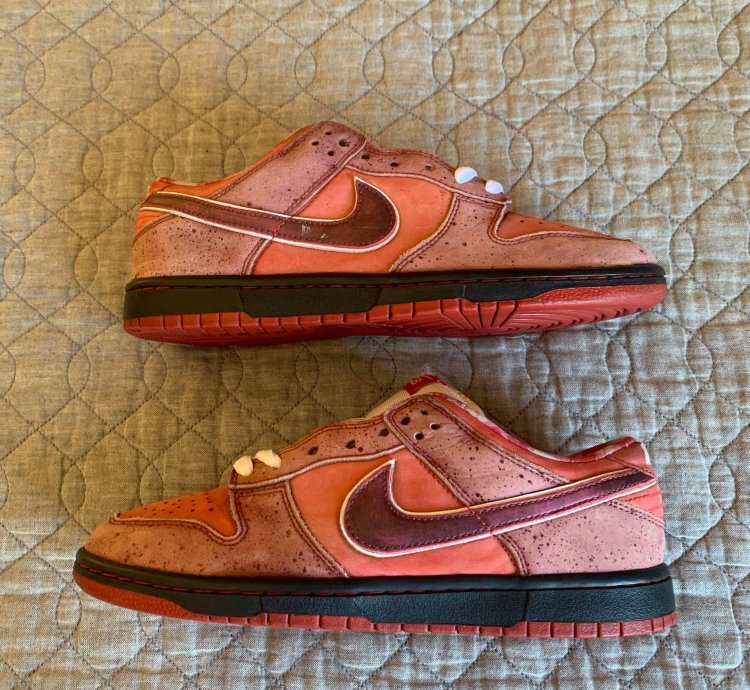 Dunk Low Premium Sb Lobster