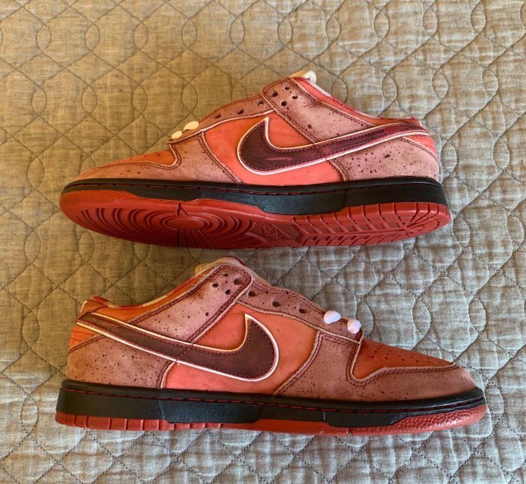 Dunk Low Premium Sb Lobster