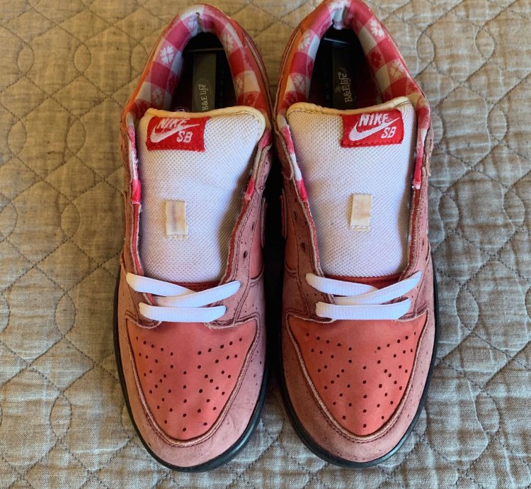 Dunk Low Premium Sb Lobster