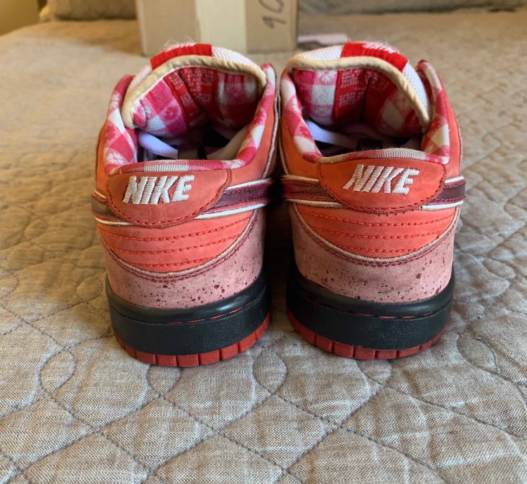 Dunk Low Premium Sb Lobster