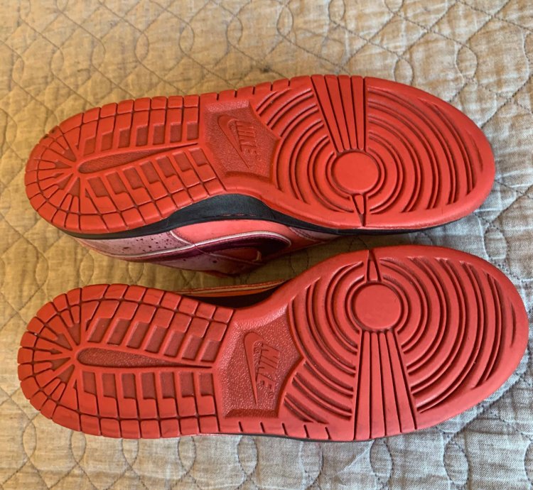Dunk Low Premium Sb Lobster