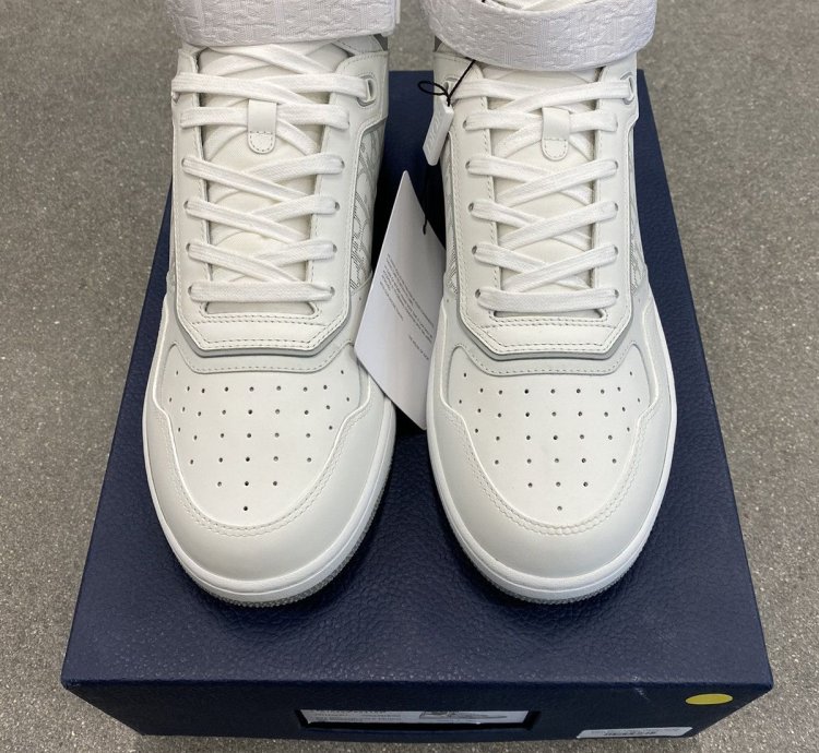 Dior B27 High White Grey