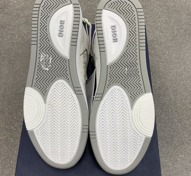 Dior B27 High White Grey