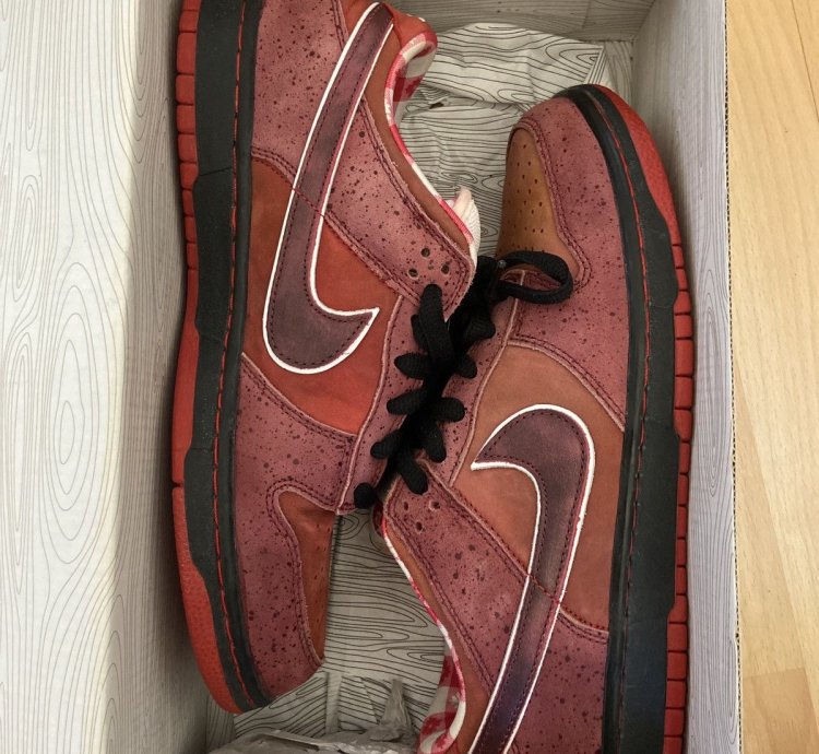 Dunk Low Premium Sb Lobster 2008