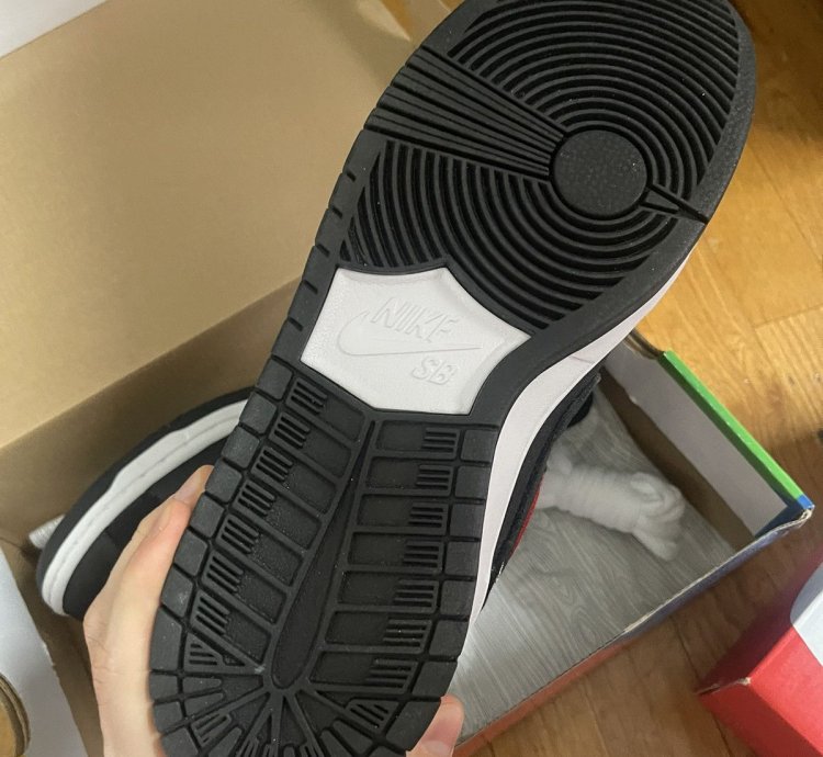 Nike Sb Dunk Low Pro Qs Wasted Youth
