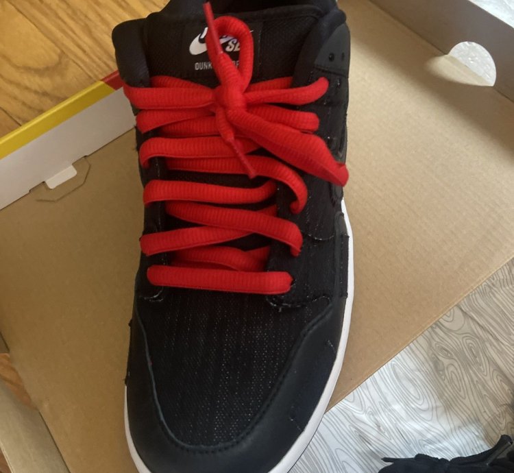 Nike Sb Dunk Low Pro Qs Wasted Youth