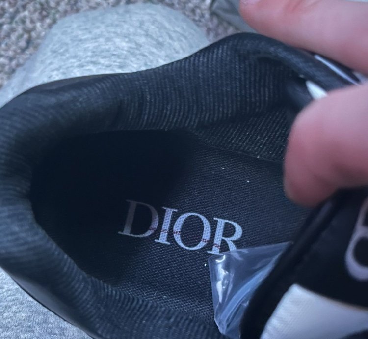 Dior B27 Low Black Beige