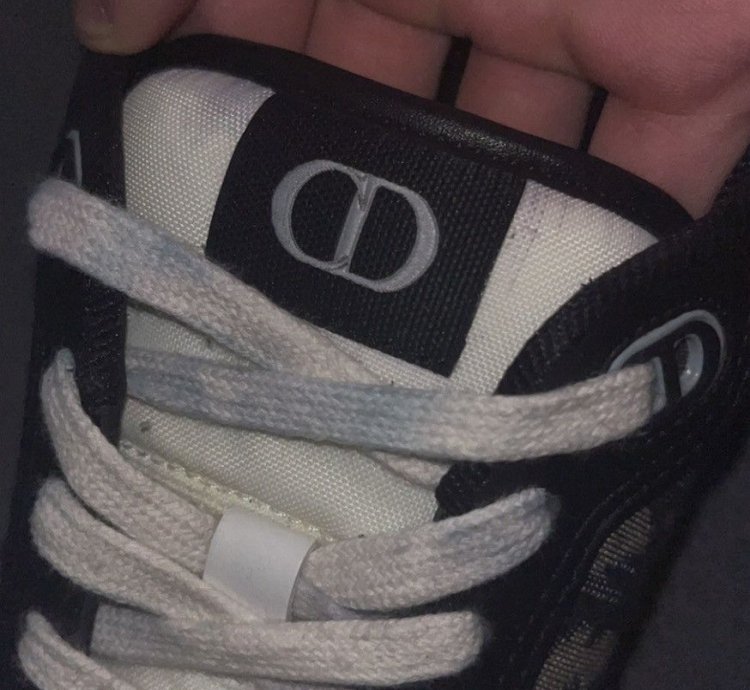 Dior B27 Low Black Beige