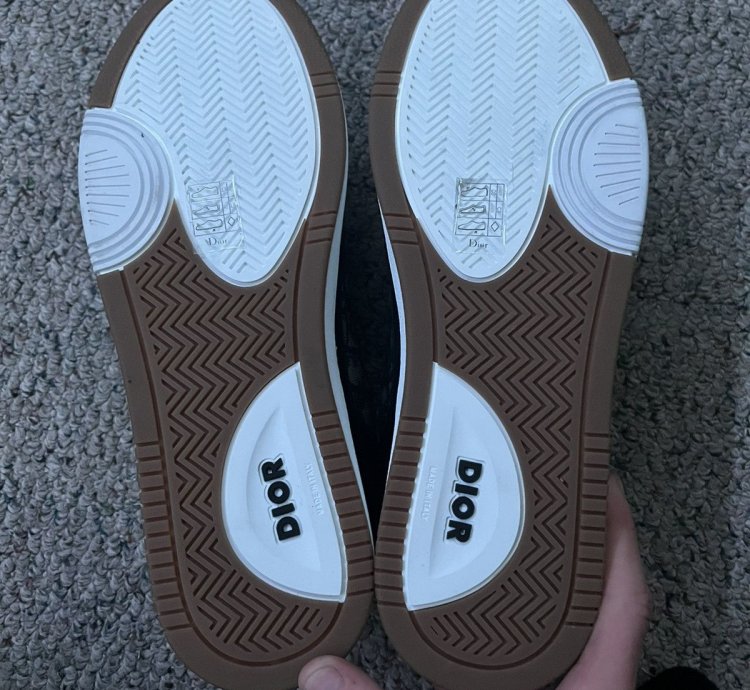Dior B27 Low Black Beige