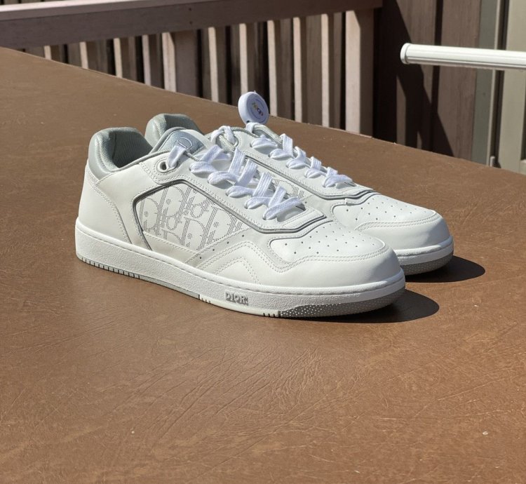 Dior B27 Low White And Grey