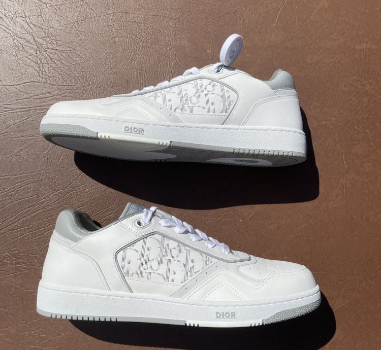 Dior B27 Low White And Grey