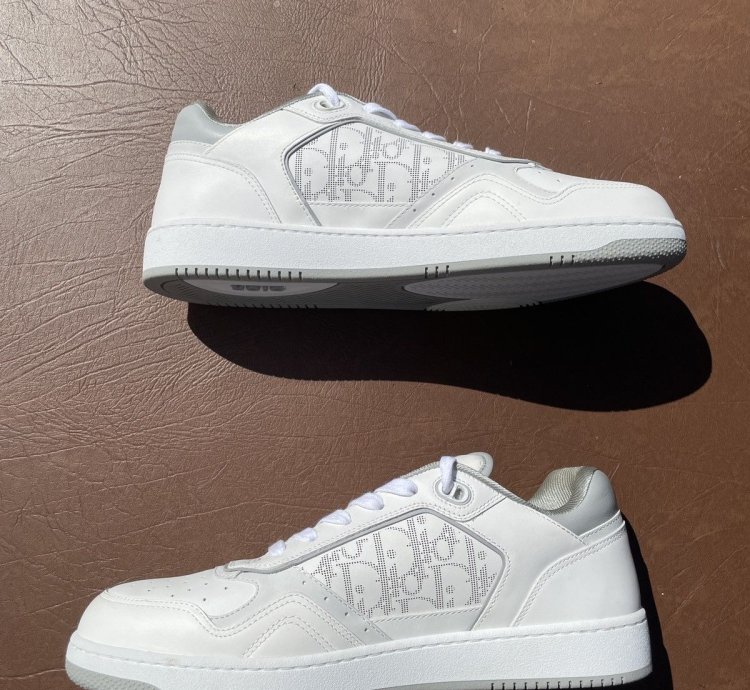 Dior B27 Low White And Grey