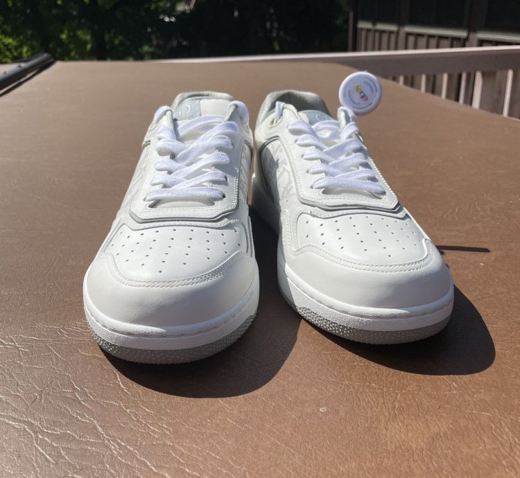 Dior B27 Low White And Grey