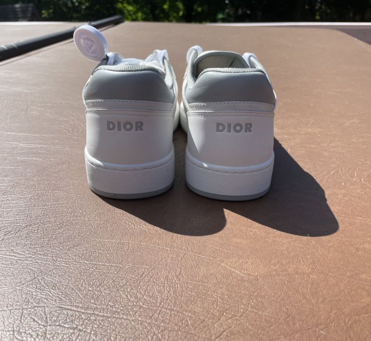 Dior B27 Low White And Grey