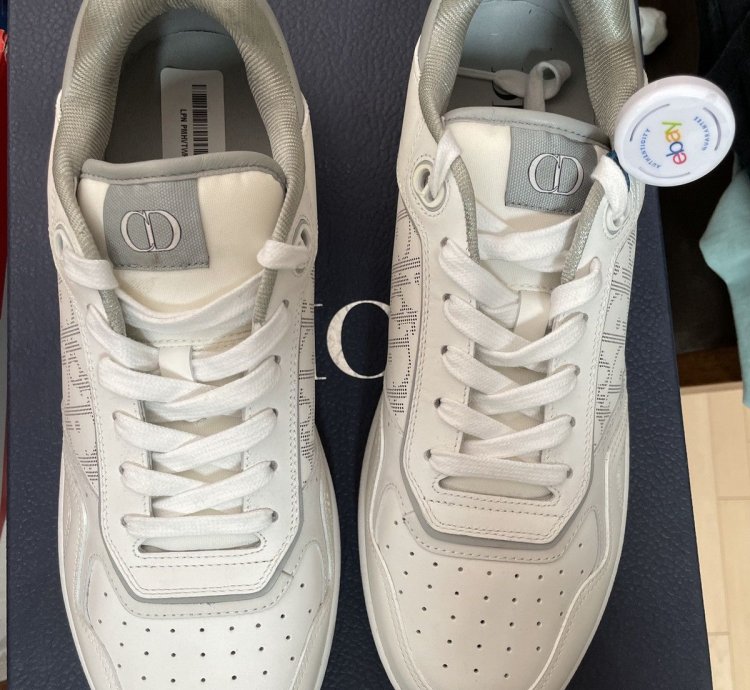 Dior B27 Low White And Grey