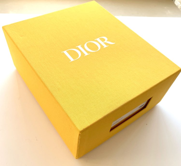 Dior B27 Low World Tour Yellow