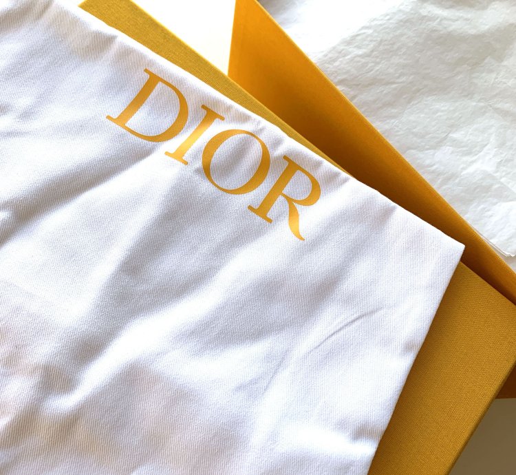Dior B27 Low World Tour Yellow