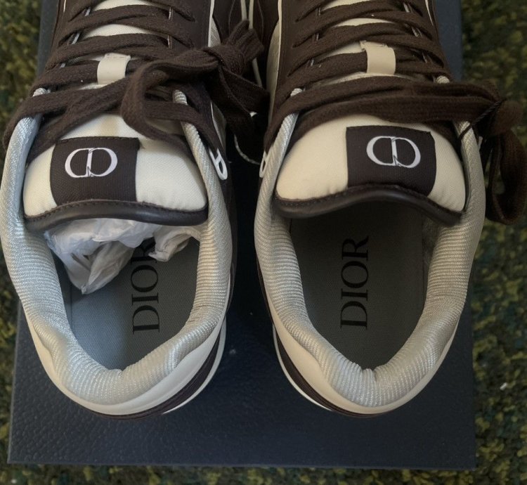 Dior B27 Low-top Sneakers