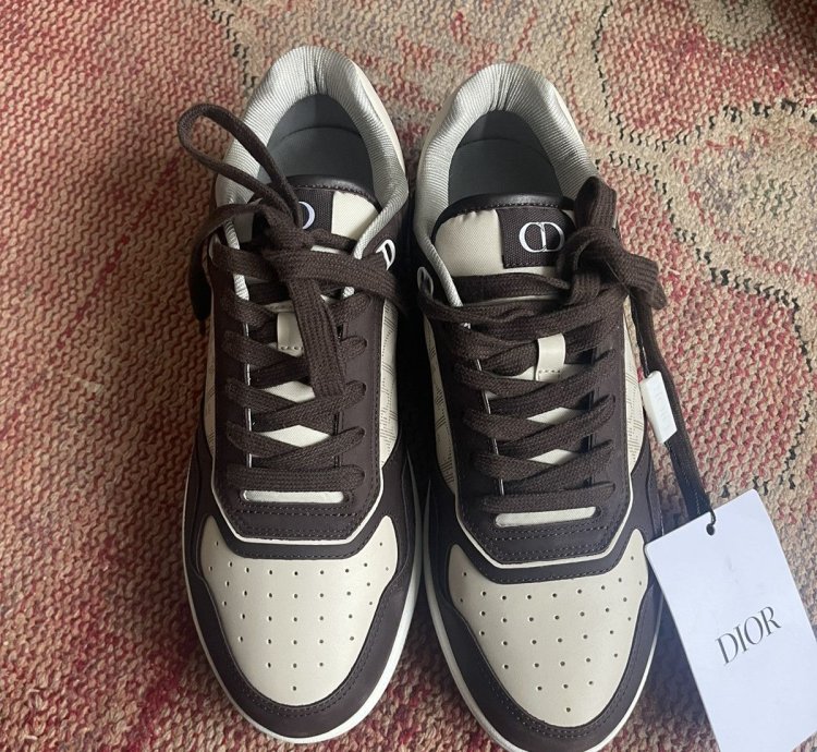 Dior B27 Oblique Brown
