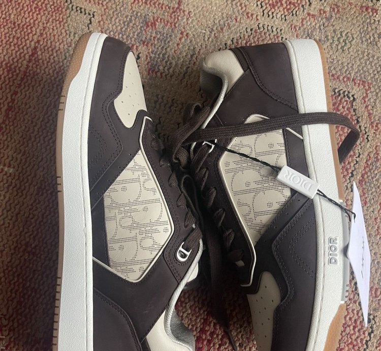 Dior B27 Oblique Brown