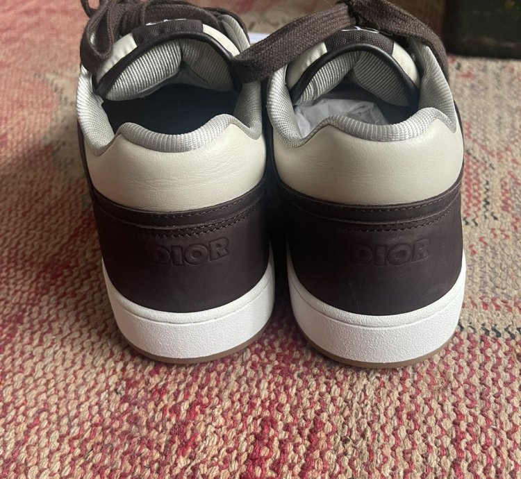 Dior B27 Oblique Brown
