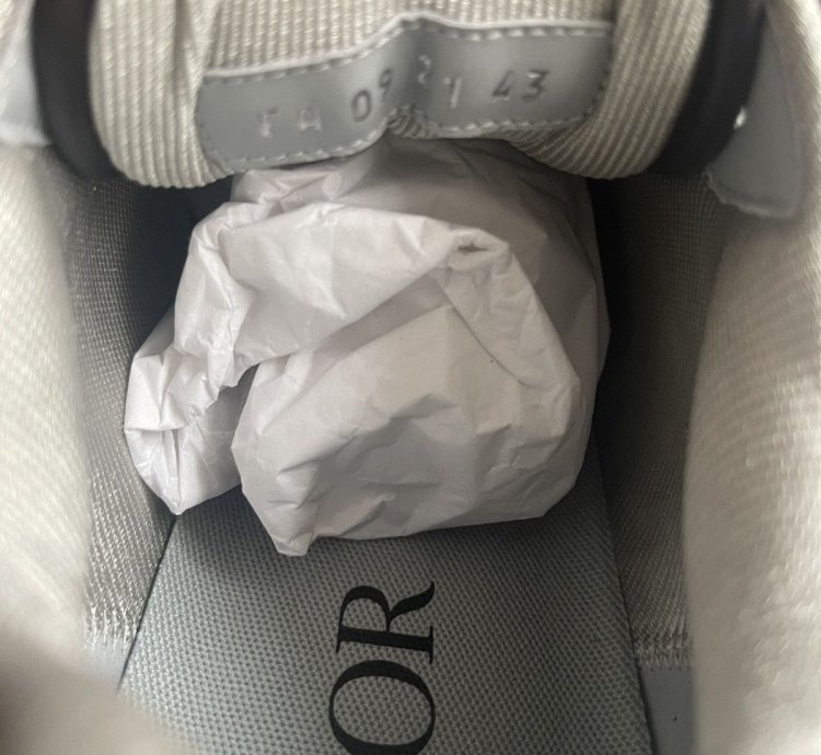 Dior B27 Oblique Brown