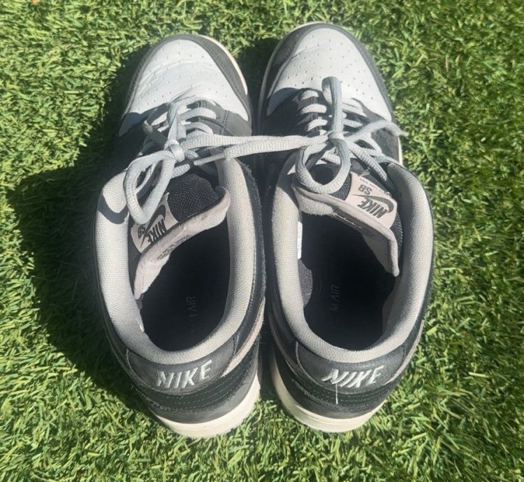 Dunk Low Sb -pack Shadow No Box