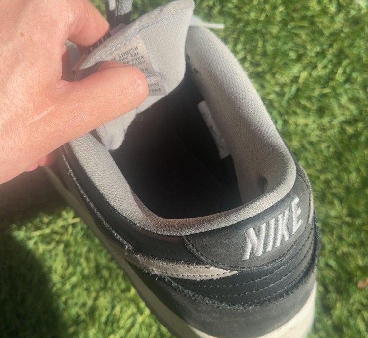 Dunk Low Sb -pack Shadow No Box