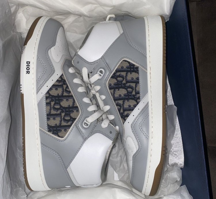 Dior B27 White Oblique
