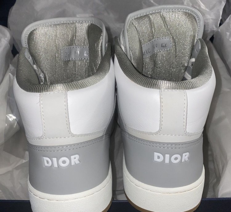 Dior B27 White Oblique