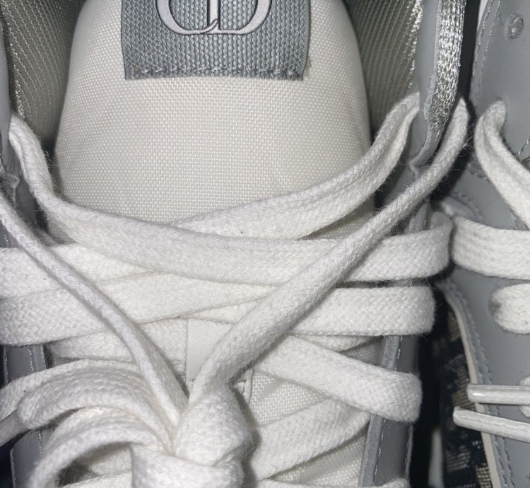 Dior B27 White Oblique