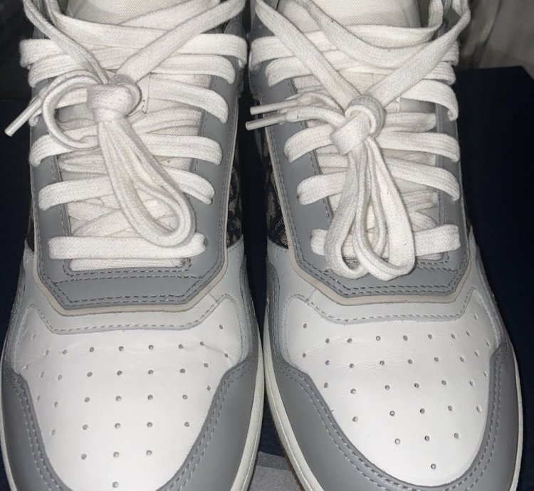 Dior B27 White Oblique