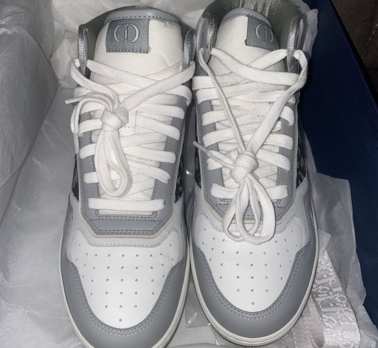 Dior B27 White Oblique