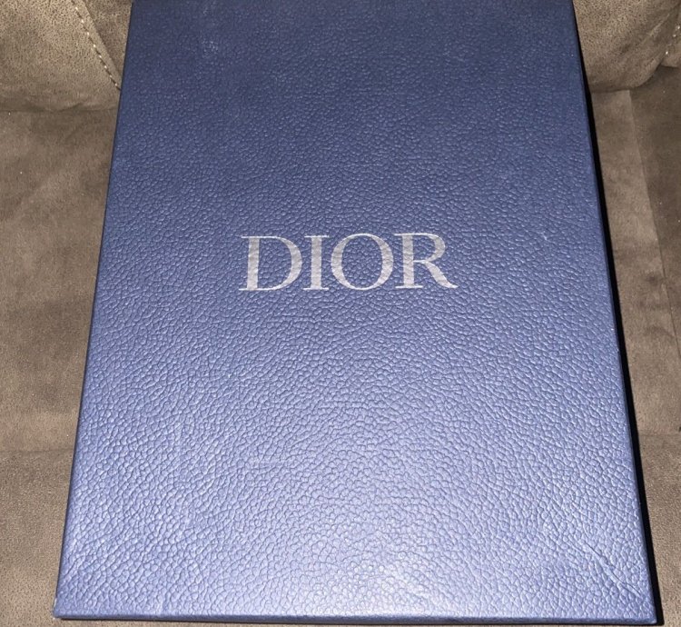 Dior B27 White Oblique