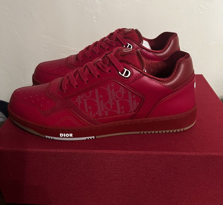 Dior B27 World Cup Sneakers
