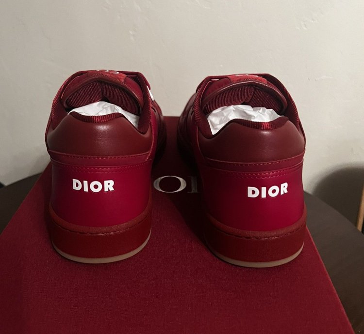 Dior B27 World Cup Sneakers