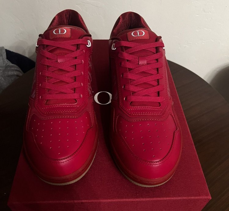 Dior B27 World Cup Sneakers