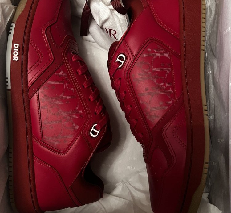 Dior B27 World Cup Sneakers