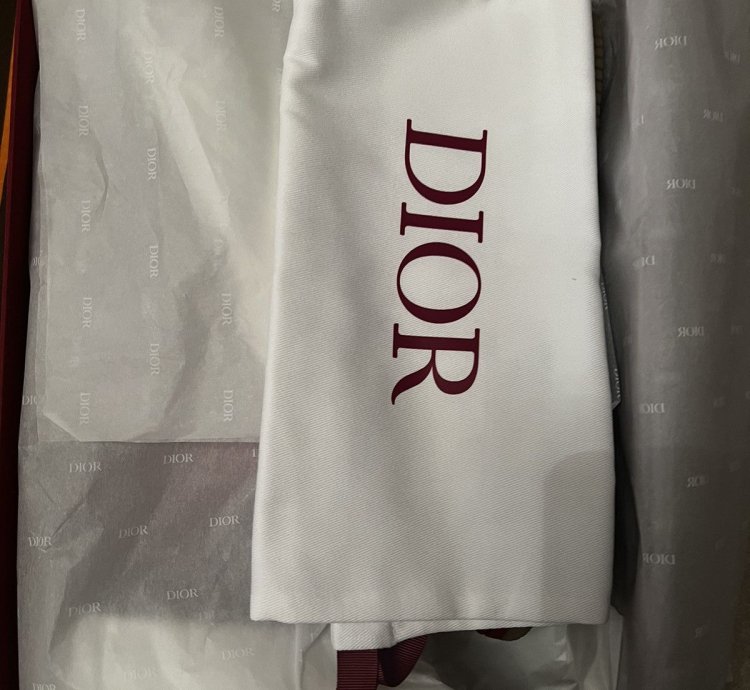 Dior B27 World Cup Sneakers