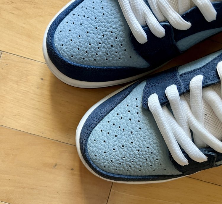 Ftc Nike Dunk Low Premium Sb Finally Us9