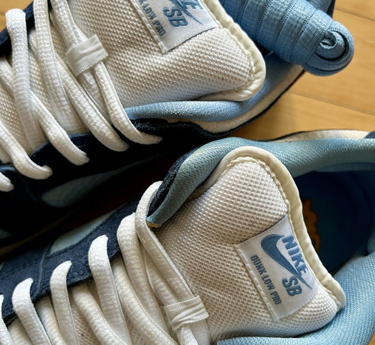 Ftc Nike Dunk Low Premium Sb Finally Us9