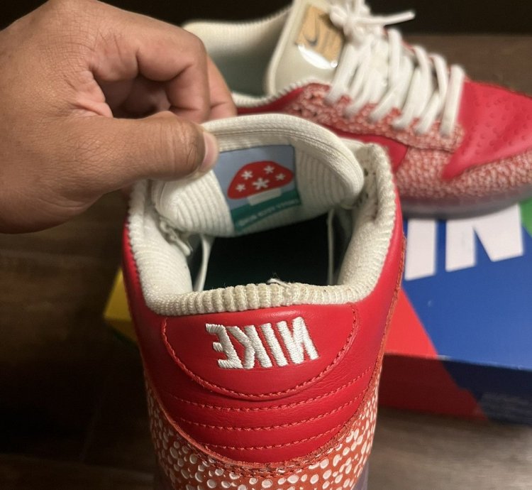 Nike Sb Dunks Stingwater